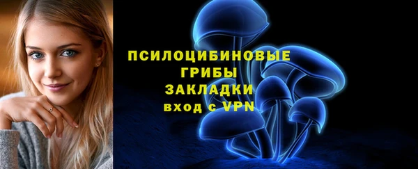 spice Балабаново