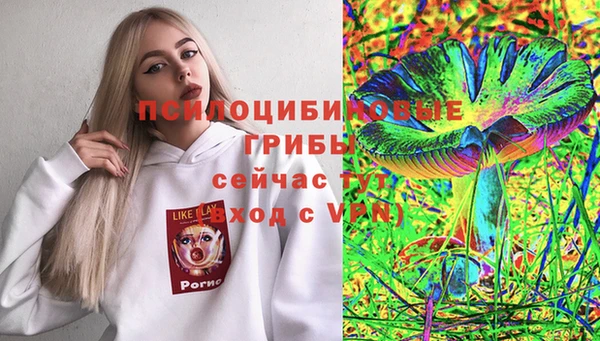 spice Балахна