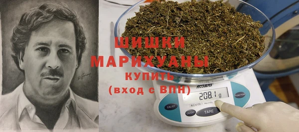 ГАЛЛЮЦИНОГЕННЫЕ ГРИБЫ Каменка
