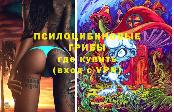 a pvp Баксан