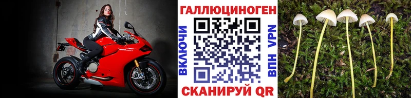 где купить наркоту  Мураши  Галлюциногенные грибы мухоморы 