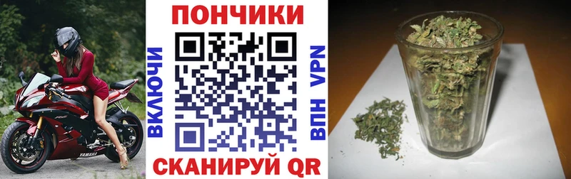 Шишки марихуана семена  omg сайт  Мураши 